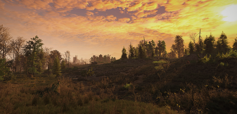 Author’s Log 2709.19