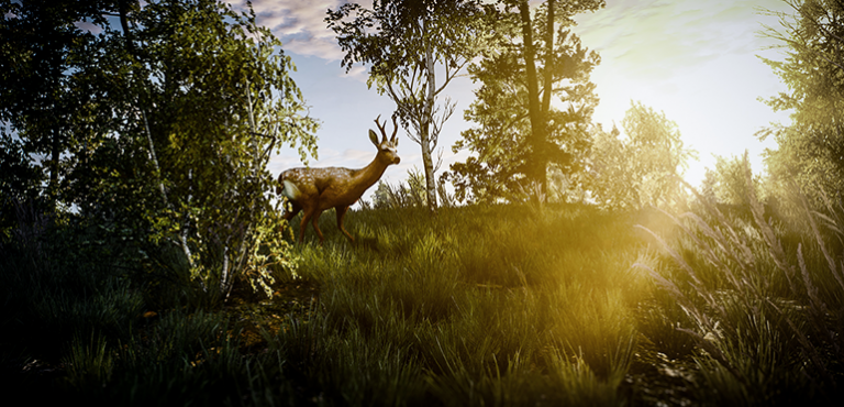 Author's Log by D.E. King